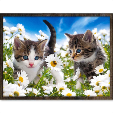 Schattige Poesjes - Diamond Painting - 30x40cm - Rond